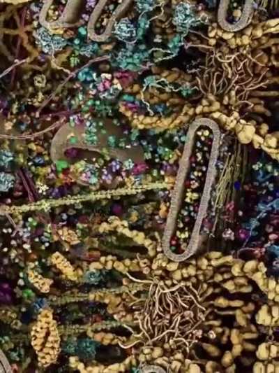 DMT