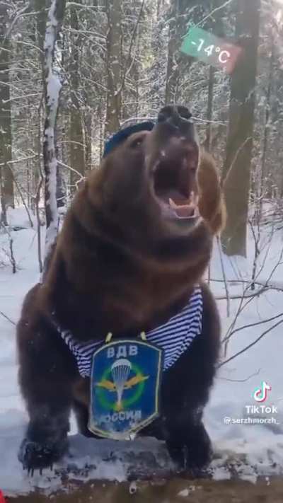 🐻🇷🇺