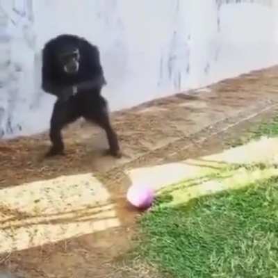 Chris when he finds another marble game