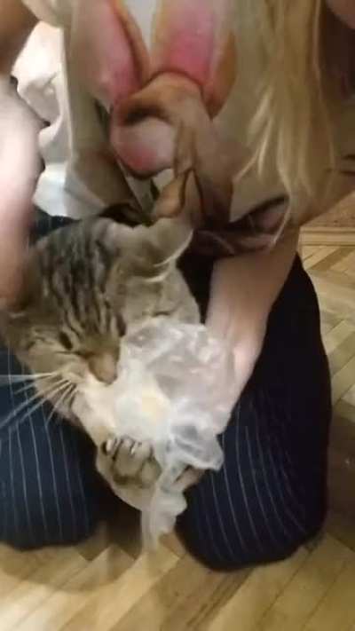 This potato is so delicious.