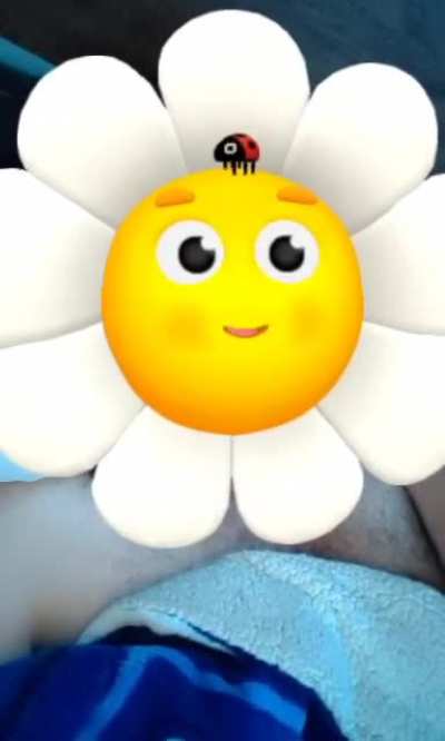 Is that a lady bug?