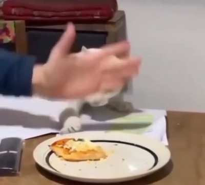 Диета