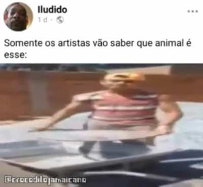 Penéra direito🤨