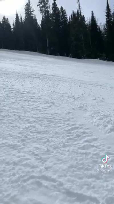 Skiing
