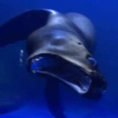 Watch out for loose seal!
