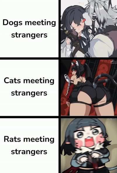 The rat is shook 