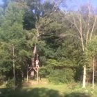 If you dont let go of the zip line
