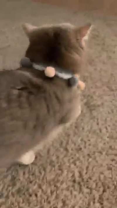 Thug bait