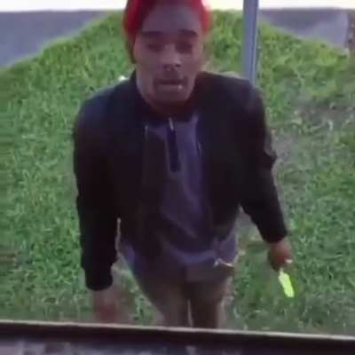 When you ask r/CartiCulture how the sub’s doing 😳💕