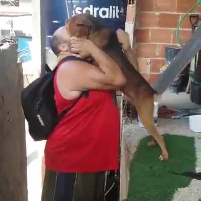 The most wholesome good boy greet
