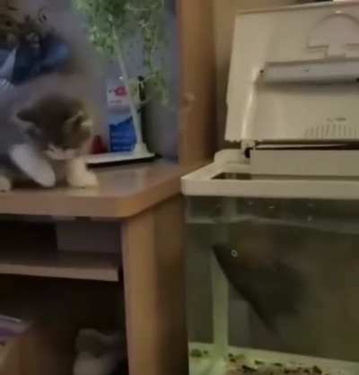 Охотники