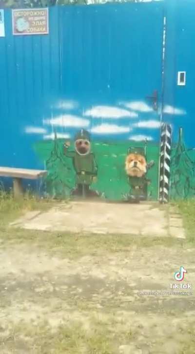 Гаф