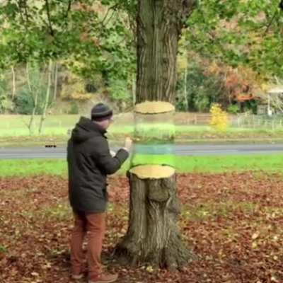 Invisible tree art