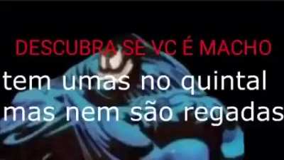 PedroDBR - Video #5822