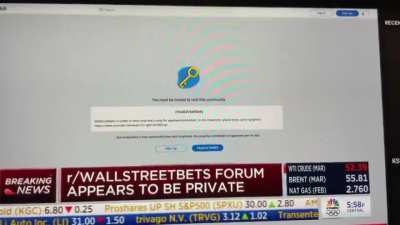 Wall Street fat cat speaks with Glee as the powers that be shut down Wall Street Bets and disses Reddit