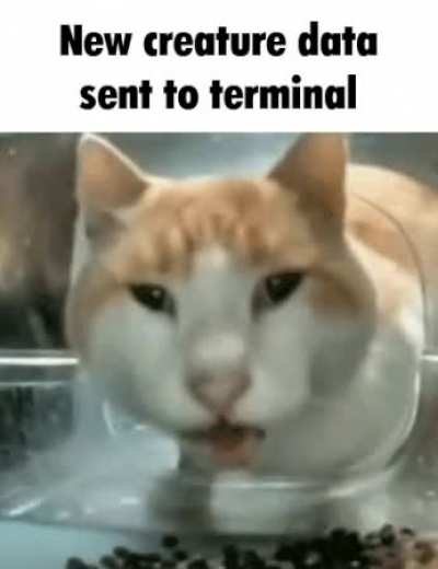Uh oh