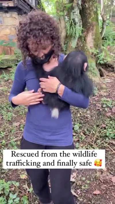 Extremely wholesome 