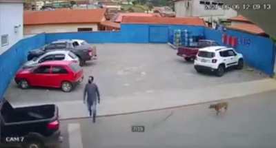 Нежданчик