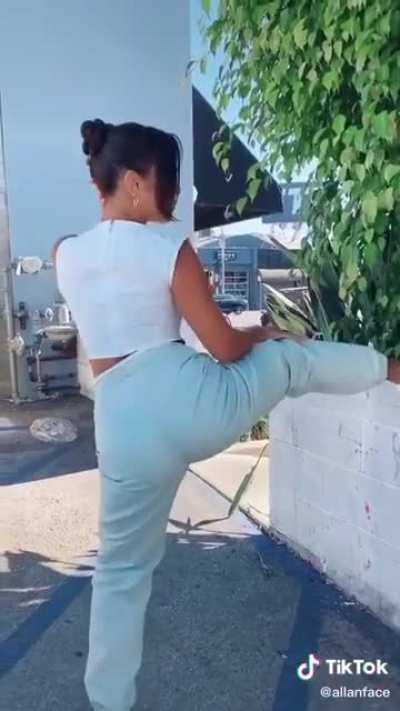 Vanessa Hudgens shaking and slapping her ass
