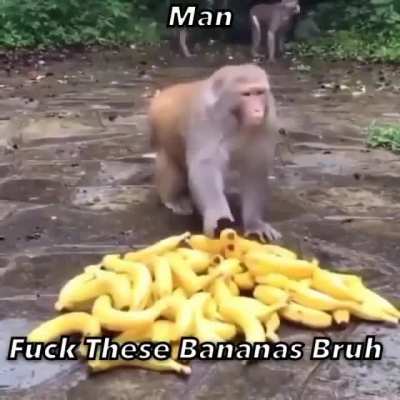 fuck it
