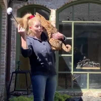 PetsNCharge