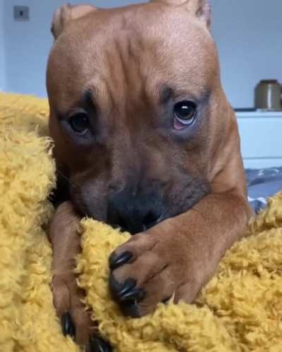Would you be able to resist this face?