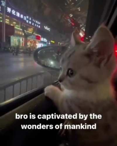 Truly Magnificent