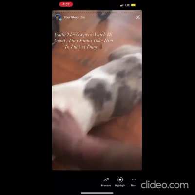 Man drags dog around so he himself gets dragged the same way