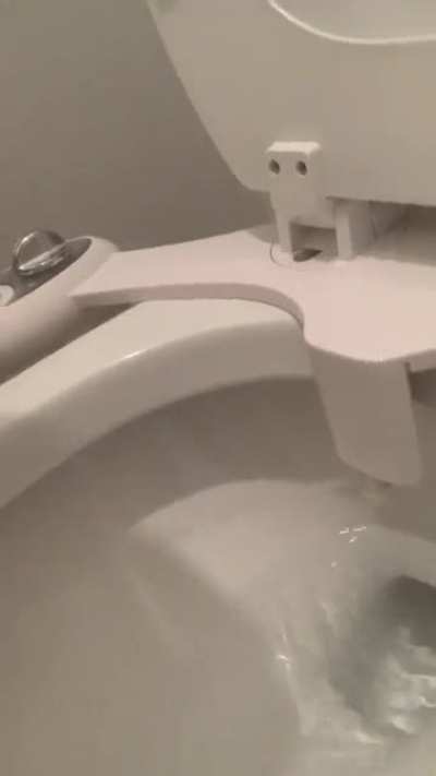 Installed a bidet….life will never be the same now.