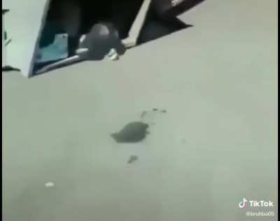 Unfortunate :(