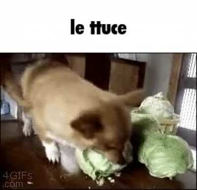 ru le