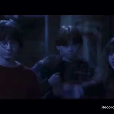 Always loved Harry Potter