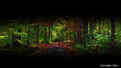 Mescaline Trip Replication Experiment V1