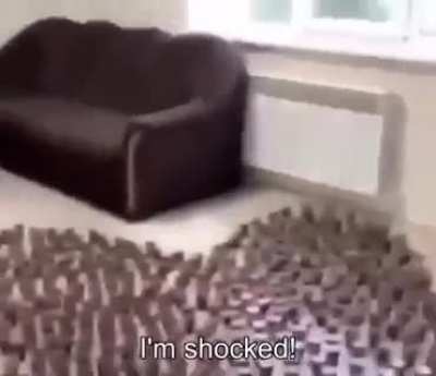 teaz nuts