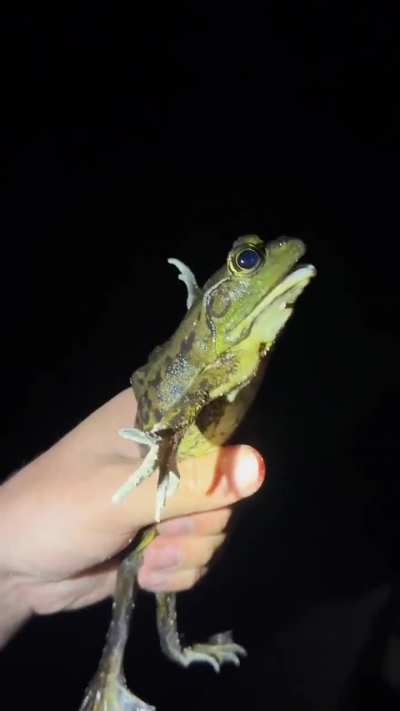 Average Floridan.
