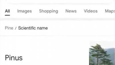 Oh