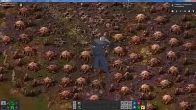 Bugs