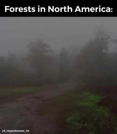 Now don’t go wandering in them woods now in Appalachia