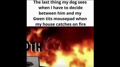 Sorry little one