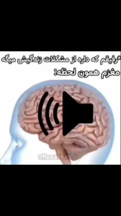 🧠