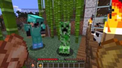 it’s a friendly creeper!