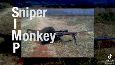 sniper monke