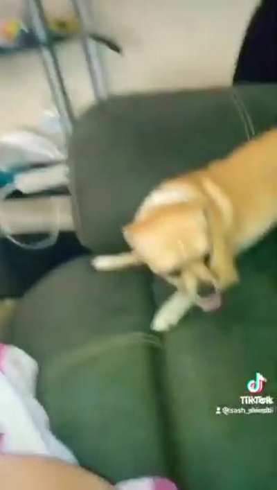 Ayo buddy you want this Cheez it foo?