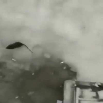 Splat