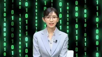 OsayaGPT segment