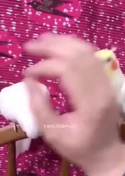 a n g r y