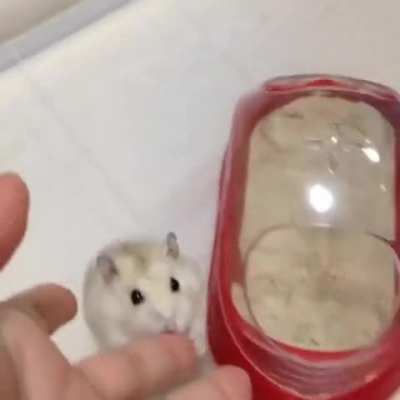 come here