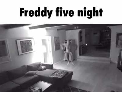 fredy