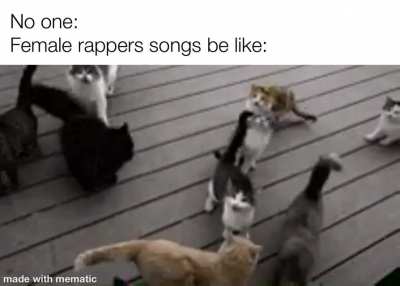 Lots of pussies includedPuss
