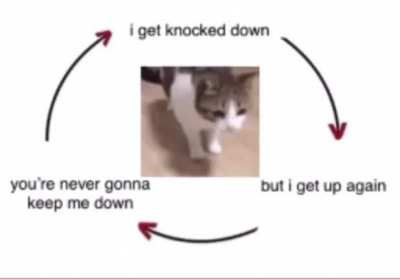 He gets knocked down